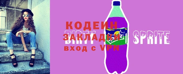 хмурый Алексин