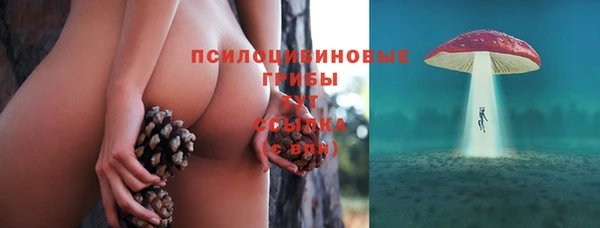 хмурый Алексин
