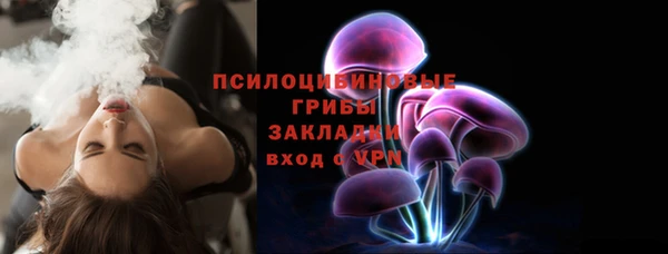 хмурый Алексин