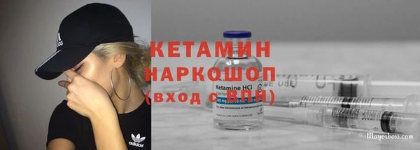 хмурый Алексин