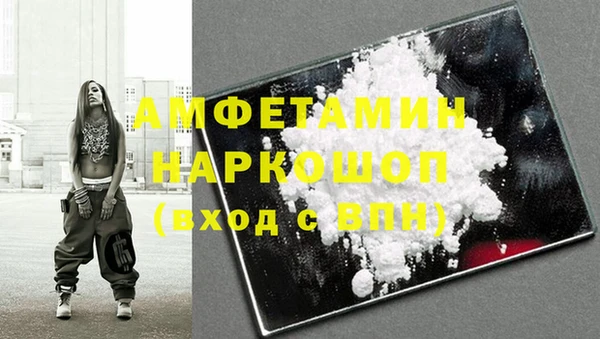 хмурый Алексин
