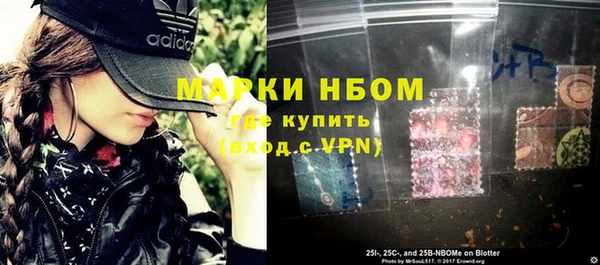 хмурый Алексин