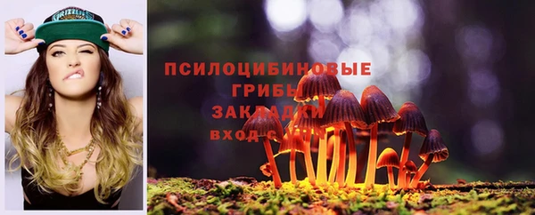 хмурый Алексин