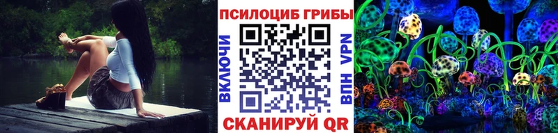 Псилоцибиновые грибы GOLDEN TEACHER  MEGA зеркало  Качканар  площадка какой сайт  как найти наркотики 