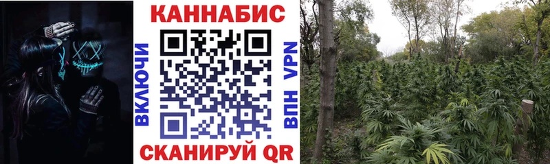 Бошки марихуана Bruce Banner Качканар